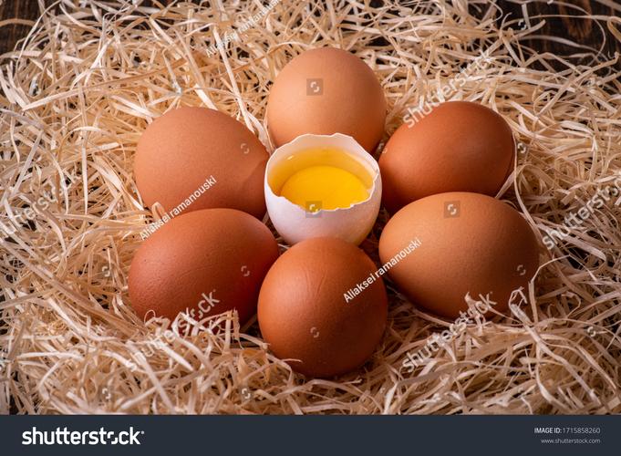 Seng Choon Farm Fresh Eggs (Large)