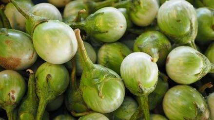 Thai Round Eggplants (Terung)